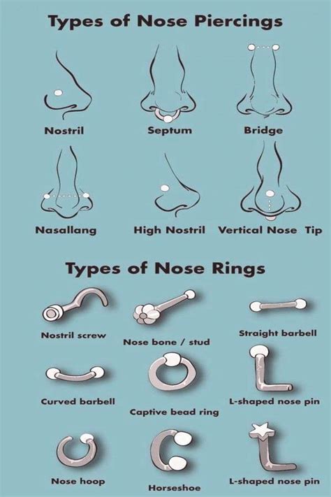 nose piercings chart.